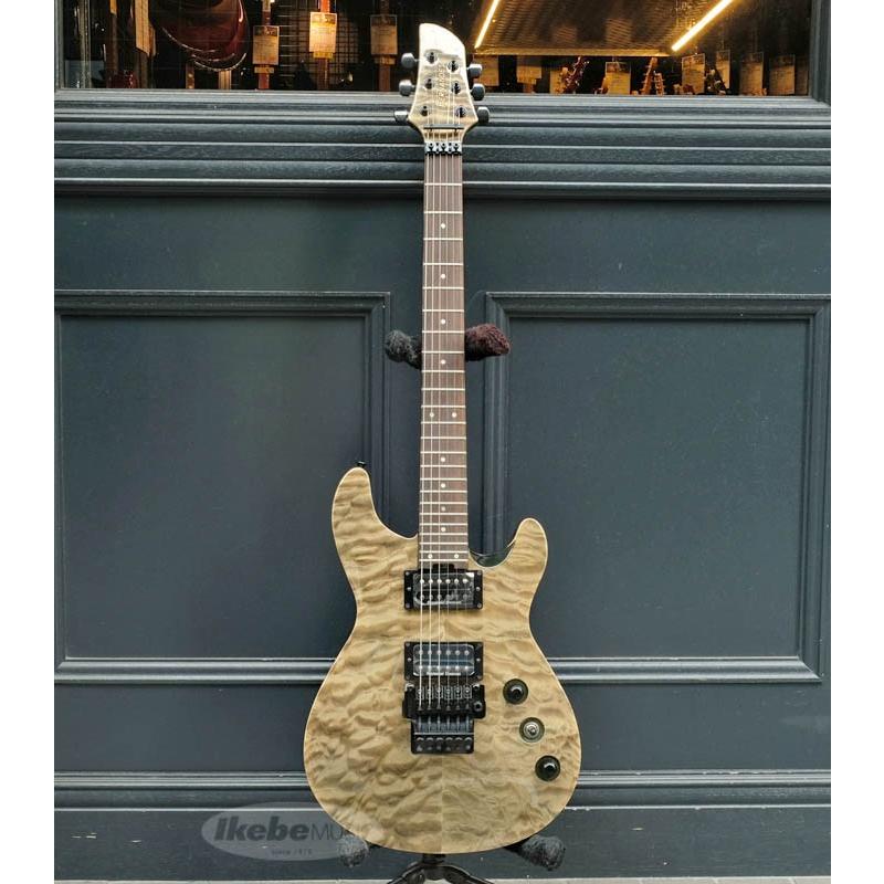 2026年最新】Yahoo!オークション - fernandes guitar(すべて)の中古品