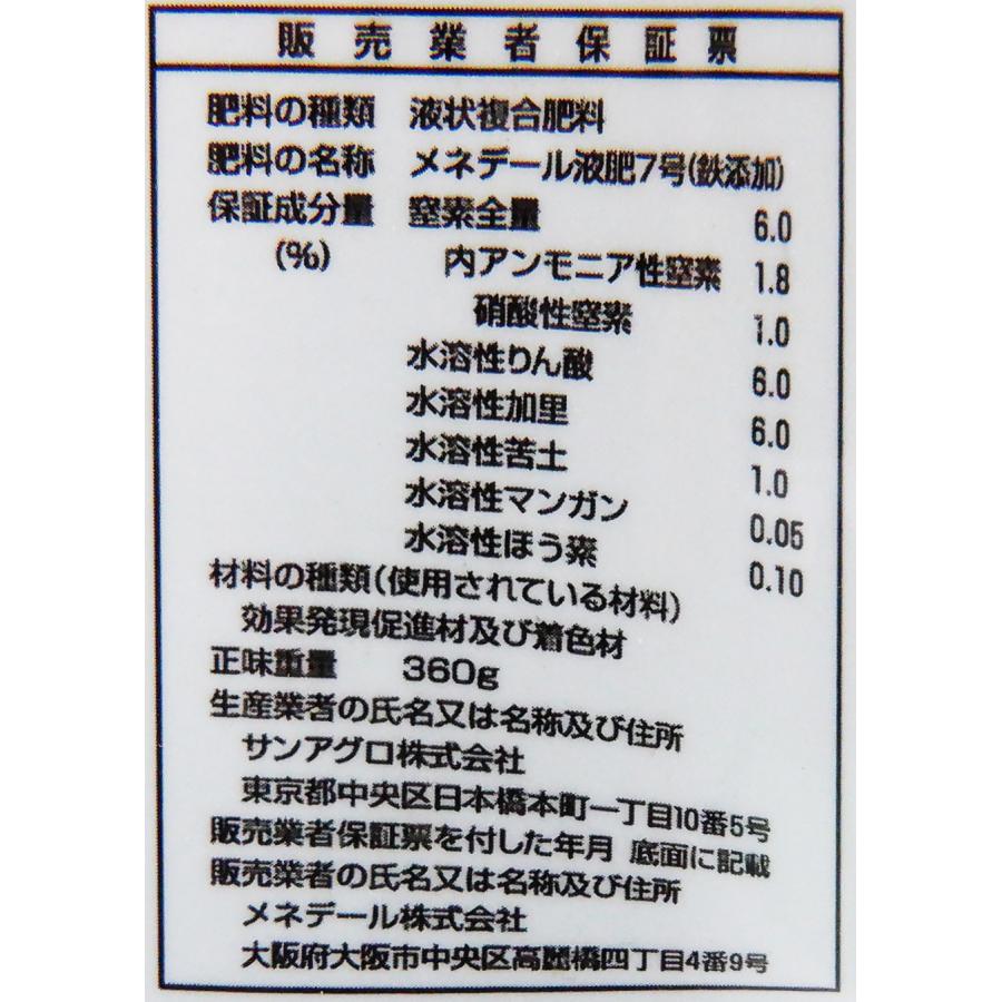 【極美品】元値134,860円セルステラ本体+説明書 ベレガ（BELEGA） 【14時までのご注文で当日発送】【正規販売店
