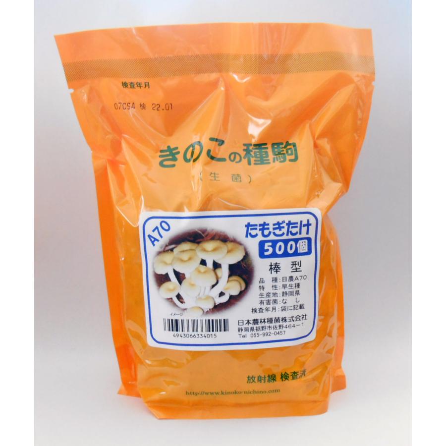 キノコ種菌 種駒 たもぎたけ タモギタケ 棒駒種菌 500駒 イケダグリーンセンターヤフー店 通販 Yahoo ショッピング