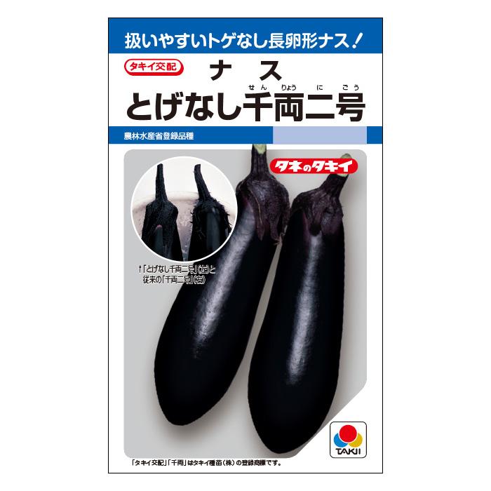 タキイ種苗 ナス 種 とげなし千両二号 DF(小袋） : イケダグリーン