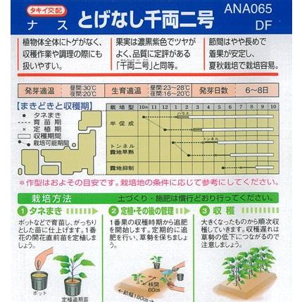 タキイ種苗 ナス 種 とげなし千両二号 DF(小袋） : イケダグリーン