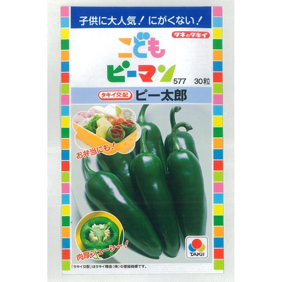 タキイ種苗 ピーマン 種 こどもピーマン ピー太郎 DF(小袋） : イケダ