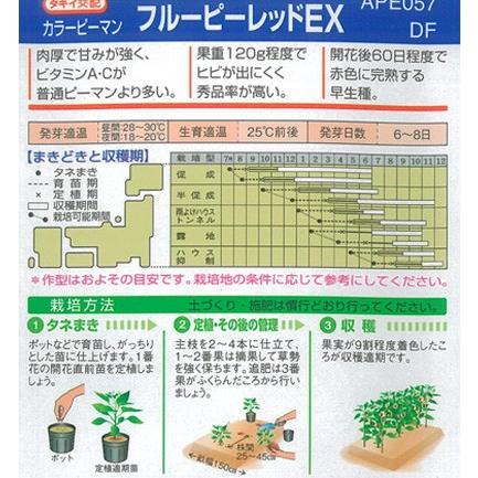 カラーピーマン パプリカ 種 フルーピーレッドｅｘ 30粒 タキイ交配 イケダグリーンセンターヤフー店 通販 Yahoo ショッピング