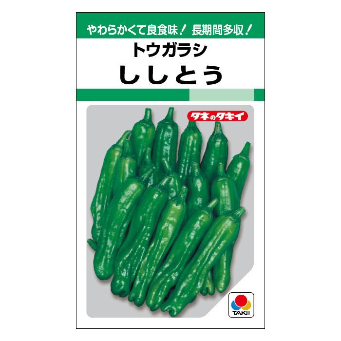 タキイ種苗 唐辛子（トウガラシ） 種 ししとう DF(小袋） : イケダ