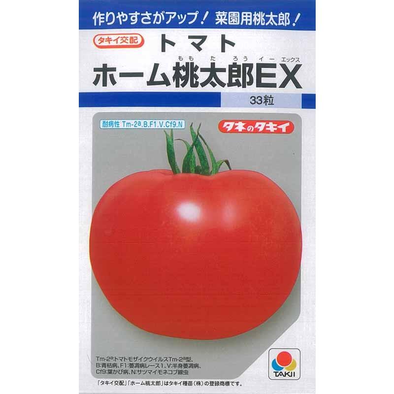 タキイ種苗 トマト 種 ホーム桃太郎EX DF(小袋） : イケダグリーン