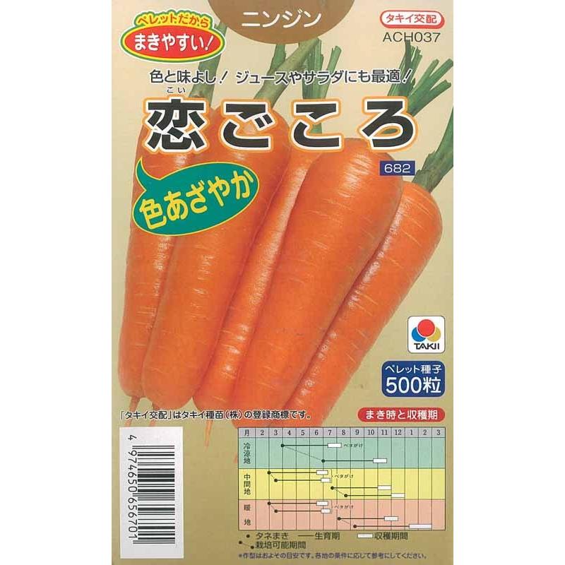 偉大な ニンジン 種 恋ごころ ペレット500粒 タキイ交配 松永種苗 ニンジン 音色 コート種子約250粒