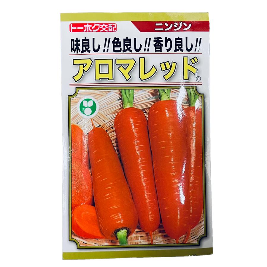 人参（ニンジン） 種 アロマレッド トーホク種苗 小袋 : イケダ