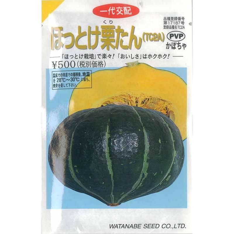 カボチャ 種 ほっとけ栗たん 14粒 渡辺採種場 イケダグリーンセンターヤフー店 通販 Yahoo ショッピング
