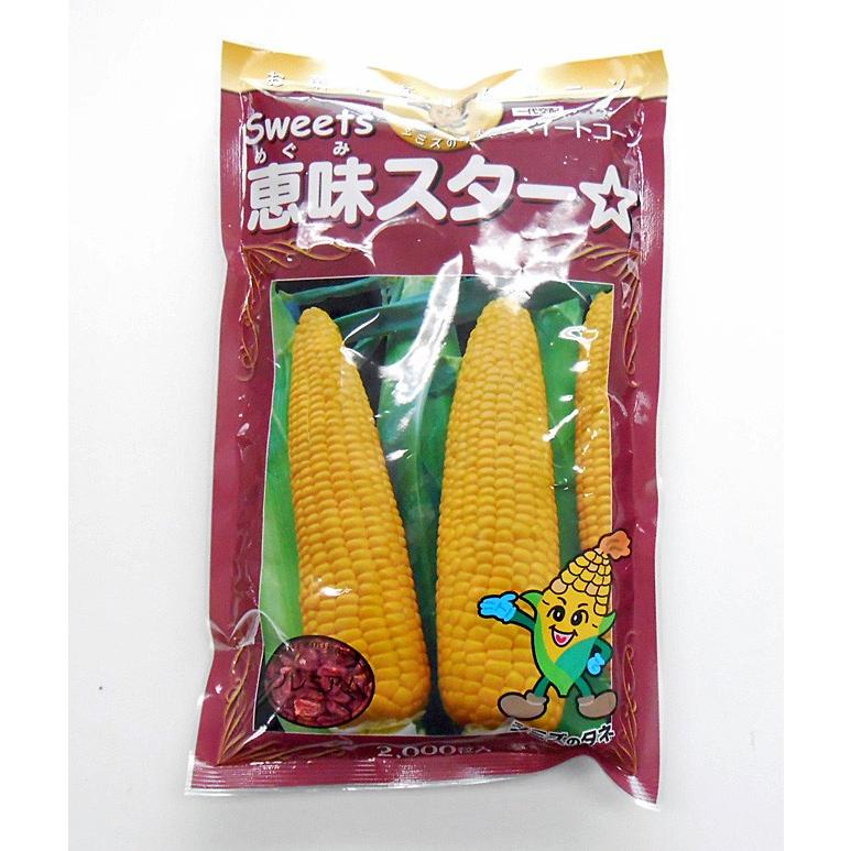 野菜 種 とうもろこし（スイートコーン） 恵味スター 2000粒 シミズのタネ
