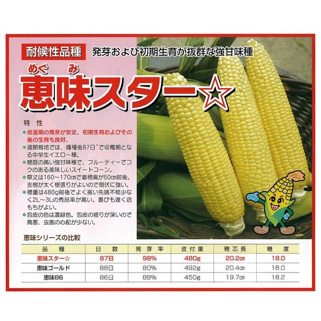 野菜 種 とうもろこし（スイートコーン） 恵味スター 2000粒 シミズの