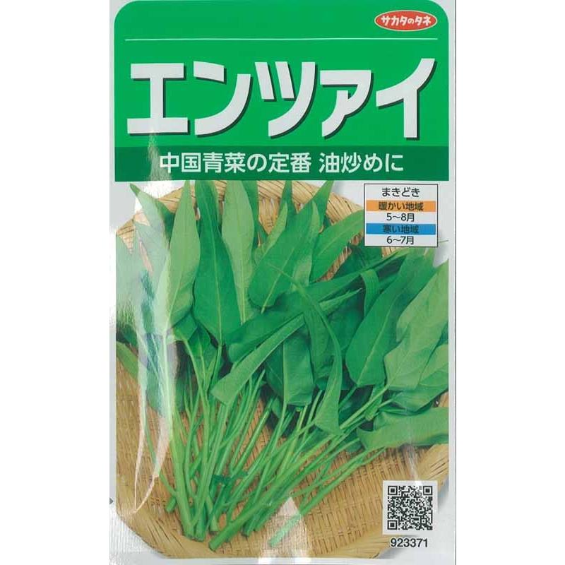 サカタのタネ（サカタノタネ） 中国野菜 種 エンツァイ（空心菜