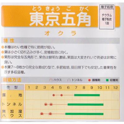 オクラ 種 東京五角オクラ 20ml｜ikedagreen｜02