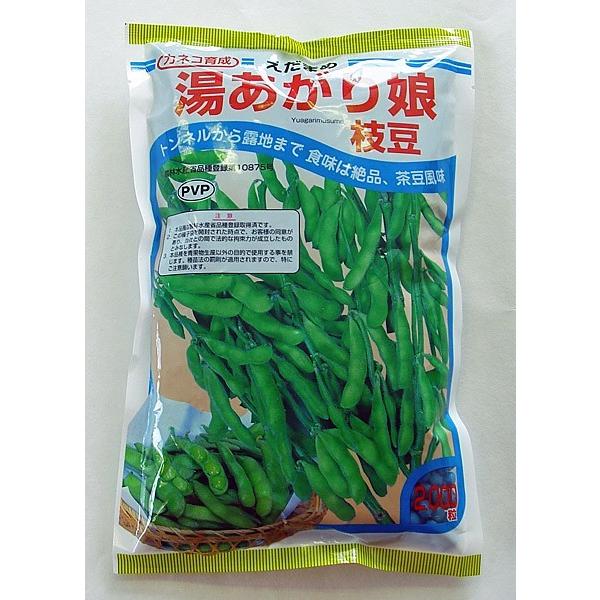 カネコ種苗 エダマメ 種 湯あがり娘枝豆 PVP 2000粒（Yahoo!・イケダグリーンセンターヤフー店）