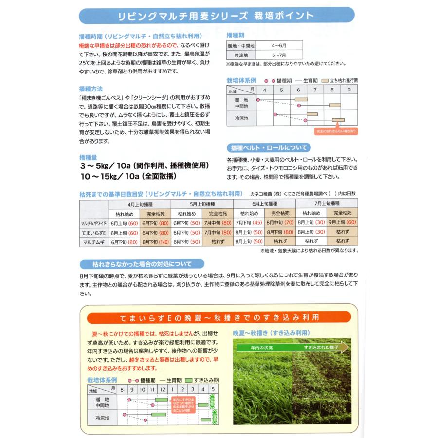 緑肥 大麦 てまいらずE 1kg カネコ種苗 : イケダグリーンセンター