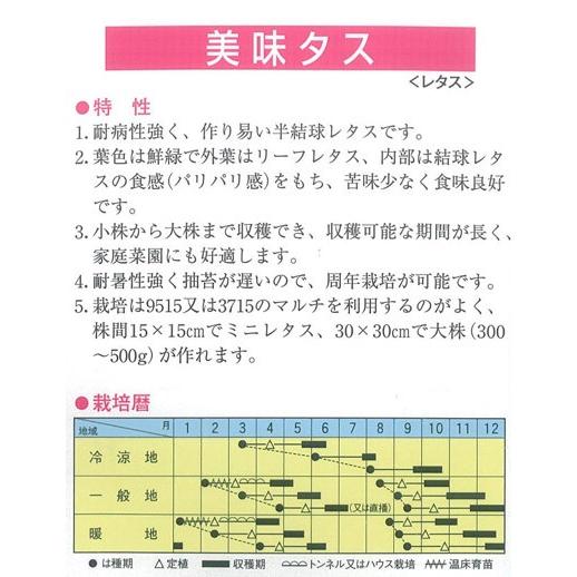 野菜種 レタス 美味タス 2ｍｌ イケダグリーンセンターヤフー店 通販 Yahoo ショッピング
