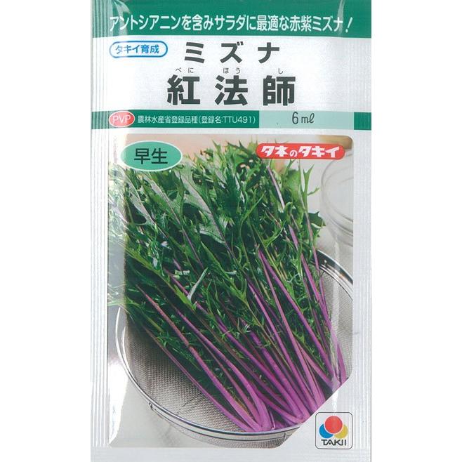 葉菜の種(葉菜種類:水菜)|種、種子|花、ガーデニング 通販 - Yahoo!ショッピング 葉菜の種(葉菜種類:水菜)|種、種子|花、ガーデニング 通販 - Yahoo!ショッピング