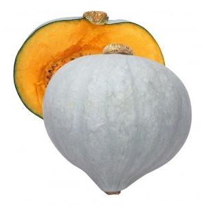 カボチャ 種 白い九重栗 50粒 カネコ交配 イケダグリーンセンターヤフー店 通販 Yahoo ショッピング