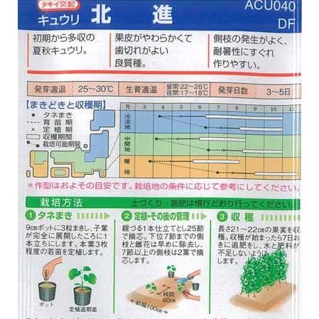 キュウリ 種 北進 350粒 タキイ交配 イケダグリーンセンターヤフー店 通販 Yahoo ショッピング