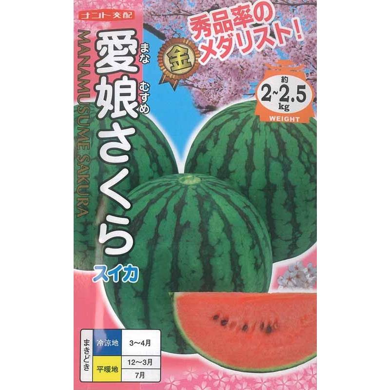 数量は多 スイカ 種 愛娘さくら 0粒 ナント種苗 日本全国送料無料 Www Muslimaidusa Org