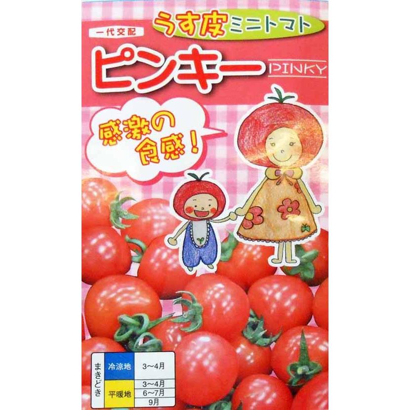 ミニトマト 種 ピンキー 500粒 ナント種苗 Khabarbani Com