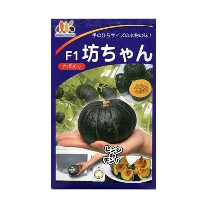 送料無料 ミニカボチャ 種 坊ちゃん 500粒 ミカド協和 メール便発送 楽天カード分割 Kuljic Com