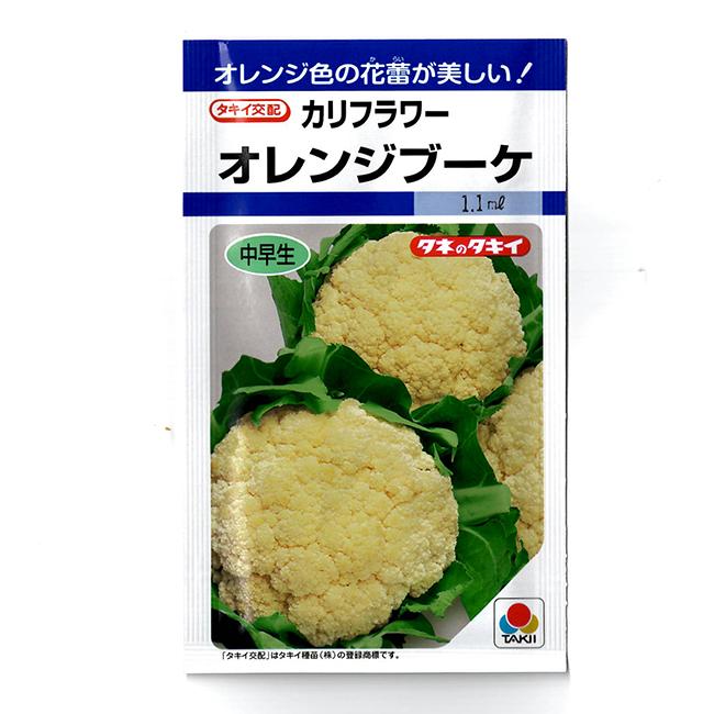カリフラワー 種 オレンジブーケ ｍｌ タキイ種苗 2 イケダグリーンセンターヤフー店 通販 Yahoo ショッピング