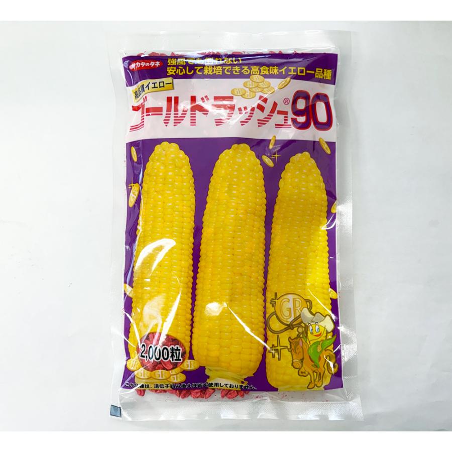 サカタのタネ（サカタノタネ） トウモロコシ 種 ゴールドラッシュ90