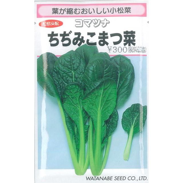 コマツナ 種 ちぢみこまつ菜 松島交配 2dl イケダグリーンセンターヤフー店 通販 Yahoo ショッピング