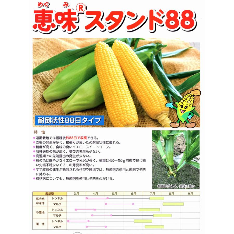 清水種苗 とうもろこし 種 恵味スタンド88 2000粒 : イケダグリーン