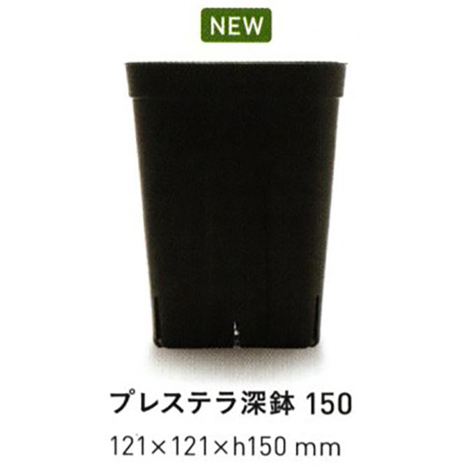 プレステラ 深鉢 150型 ブラック 5個セット : イケダグリーンセンター