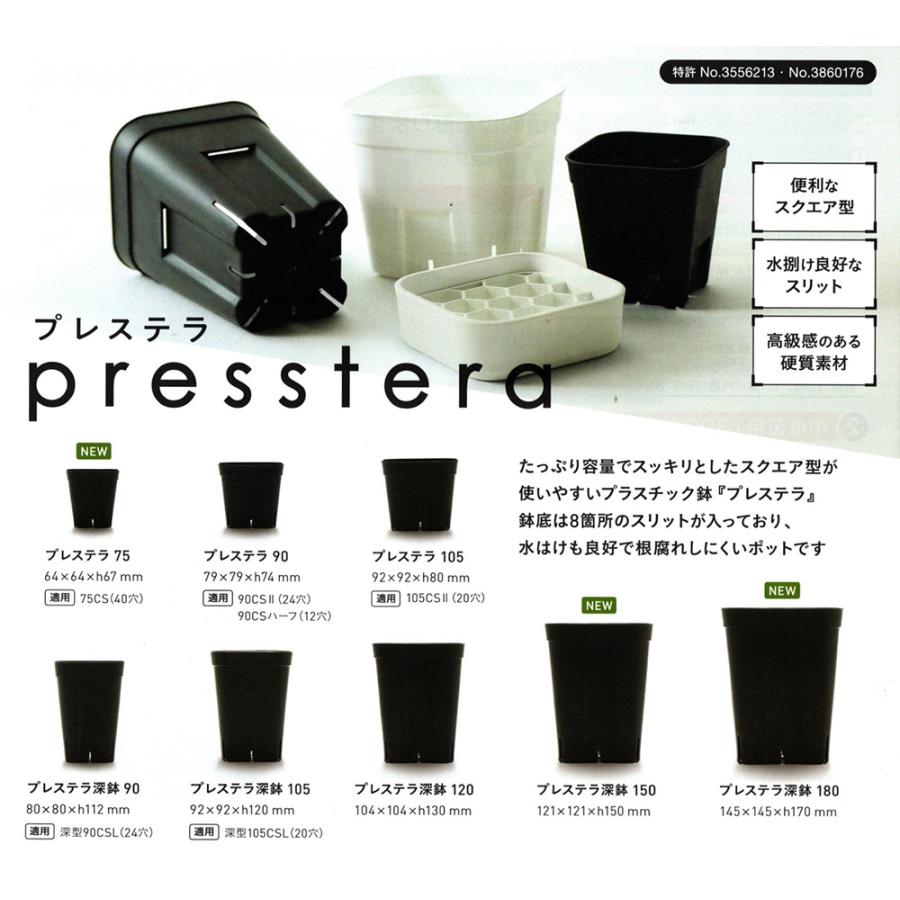 プレステラ 深鉢 150型 ブラック 5個セット : イケダグリーンセンター