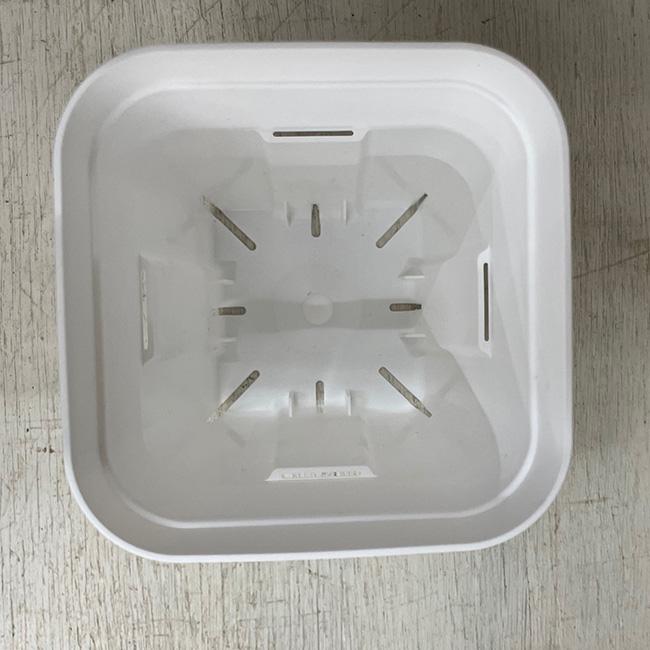 プレステラ 深鉢 120型 ホワイト 10個セット : イケダグリーンセンター