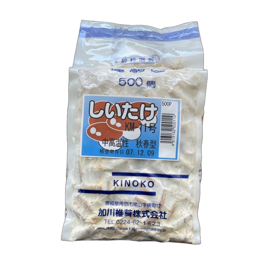 キノコ種菌（種駒） 加川椎茸 しいたけ KM-11号（秋春型） 500駒