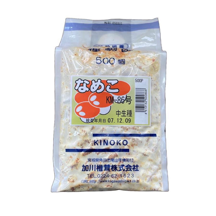 なめこ キノコ種菌（種駒） 加川椎茸 なめこ KM-86号（中生種） 500駒