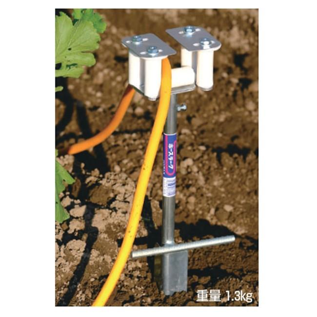 https://item-shopping.c.yimg.jp/i/n/ikedagreen_4939356401147?e2PhlVsOiLr5UGYqxI