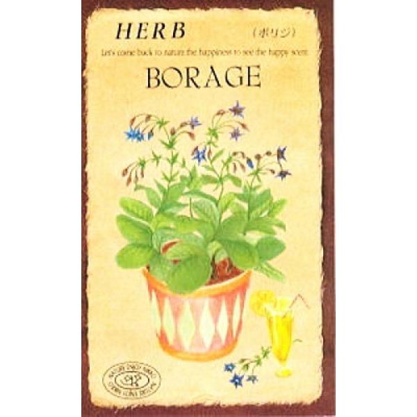 楽天1位 ハーブ種 ボリジ 0 5ｍｌ ハーブ