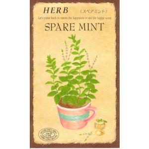 お得 ハーブ種 スペアミント 0 1ｍｌ