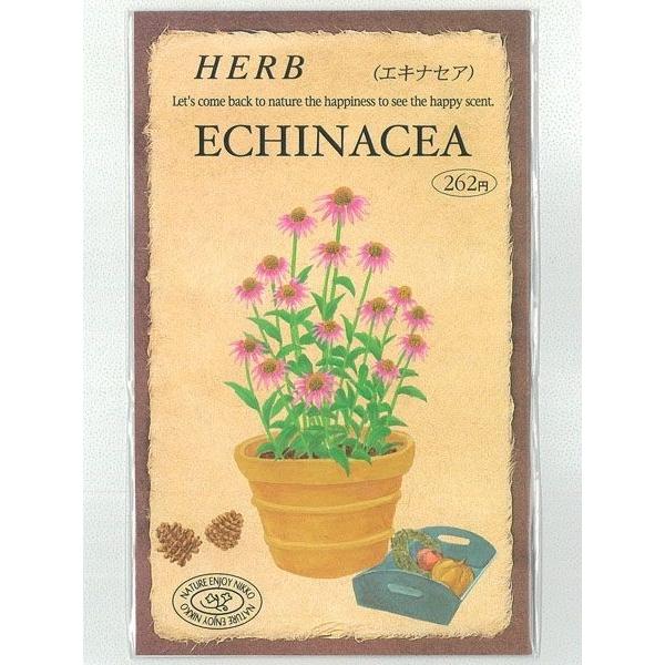 円高還元 ハーブ種 エキナセア 0 5ｍｌ