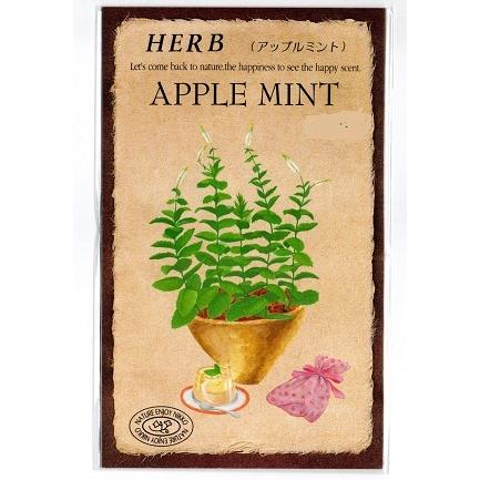 ハーブ種 アップルミント 0.1ml : イケダグリーンセンターヤフー店