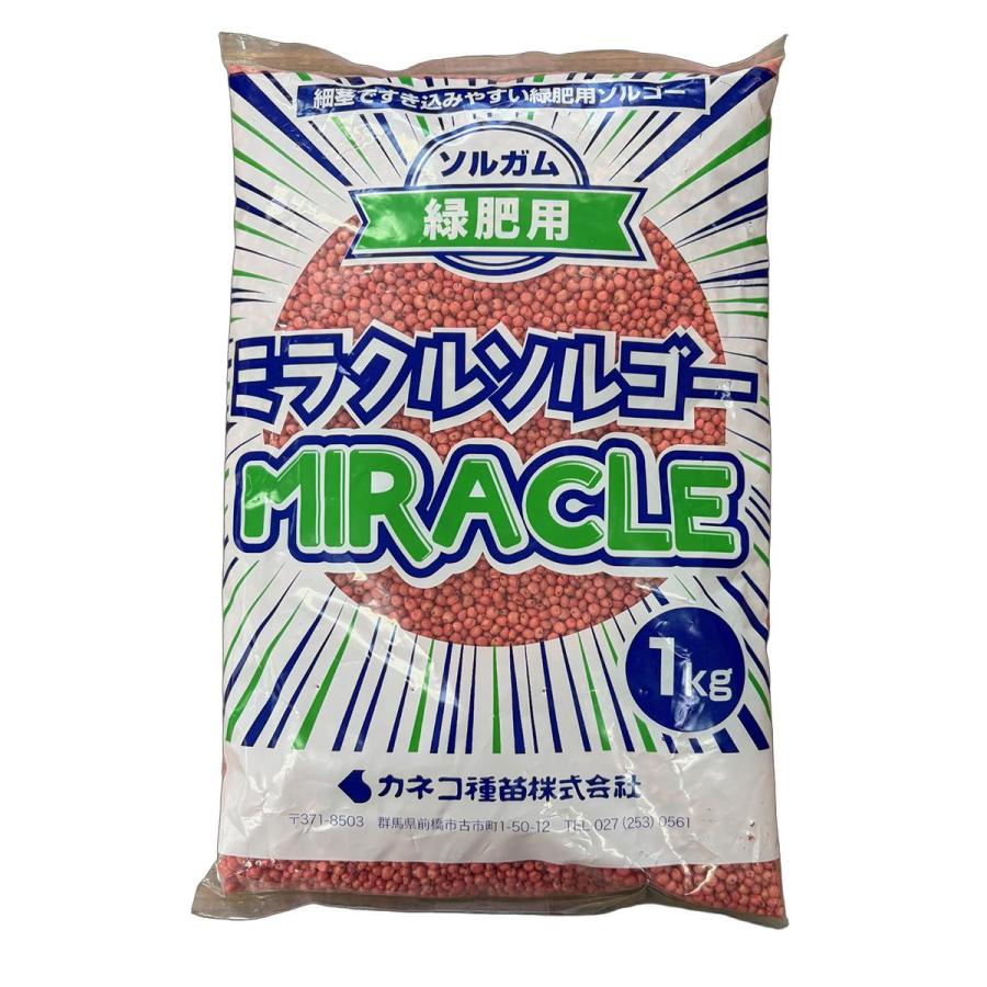 緑肥 ソルガム（ソルゴー） ミラクルソルゴー 1kg カネコ種苗