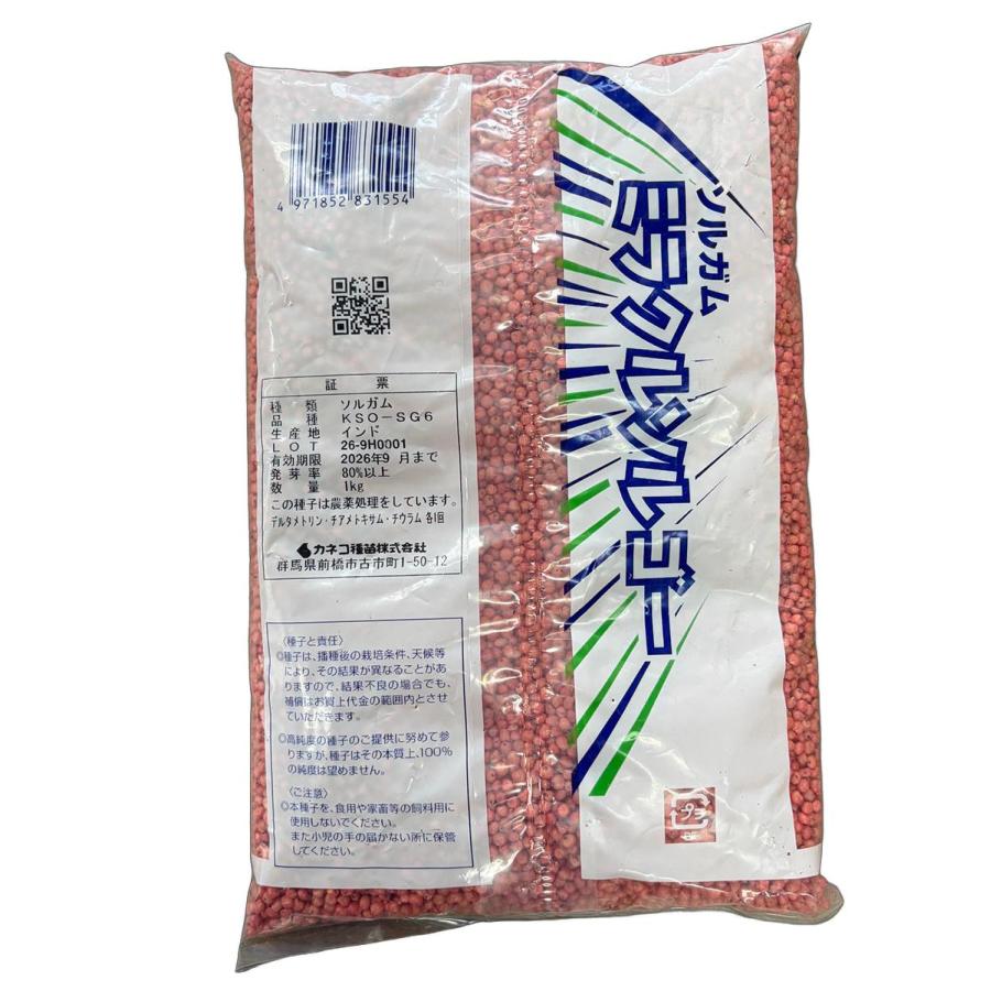 緑肥 ソルガム（ソルゴー） ミラクルソルゴー 1kg カネコ種苗
