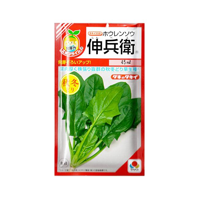 ホウレンソウ 種 伸兵衛 45ｍｌ タキイ種苗 イケダグリーンセンターヤフー店 通販 Yahoo ショッピング
