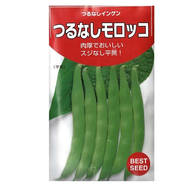 タキイ種苗 モロッコインゲン 種 つるなしモロッコ 1dl : イケダ