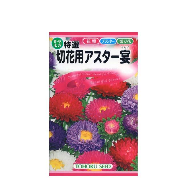 花の種 トーホク 特選 切花用 アスター宴 イケダグリーンセンターヤフー店 通販 Yahoo ショッピング