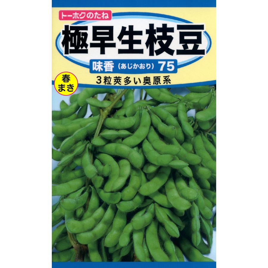 えだまめ　804035ミリタリーグリーン トーホク エダマメ種 極早生枝豆 『味香あじかおり75』 : イケダ