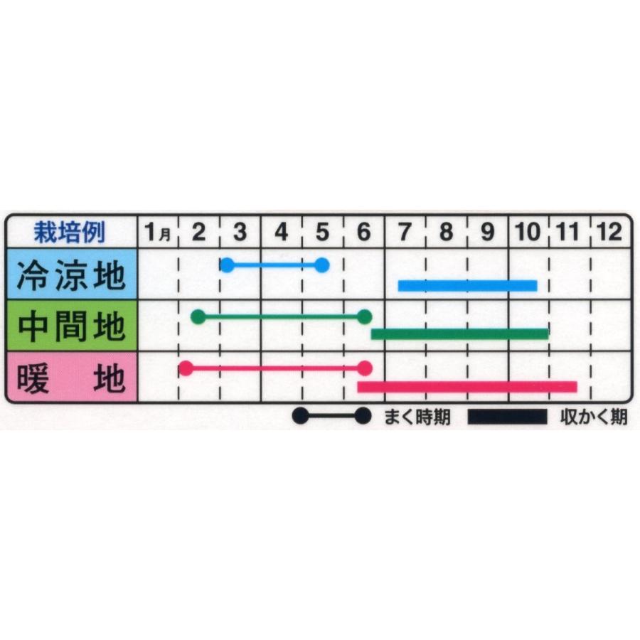 トーホク なす種 とろとろステーキなす 小袋 : イケダグリーンセンター