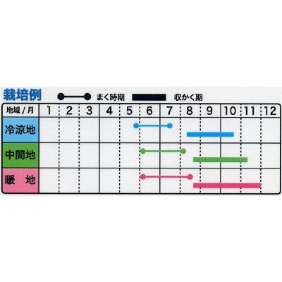 トーホク 秋どりミニトマト 種 甘美（かんみ） : イケダグリーン