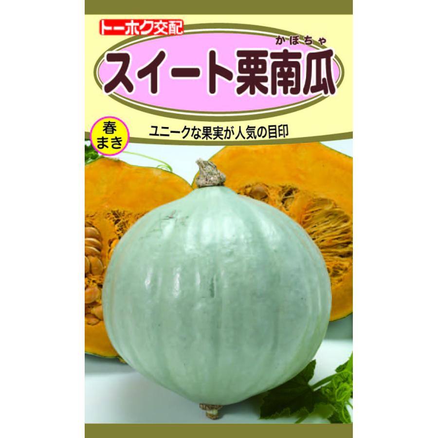 12672円 人気ブラドン くりゆたか7 500粒 南瓜 カボチャ かぼちゃ