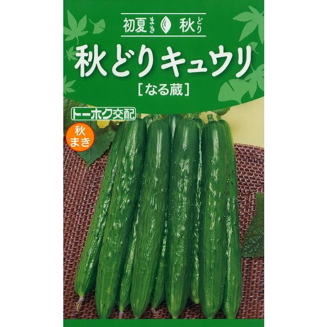 トーホク キュウリ 種 秋どりキュウリ 『なる蔵』 : イケダグリーンセンターヤフー店 - 通販 - Yahoo!ショッピング