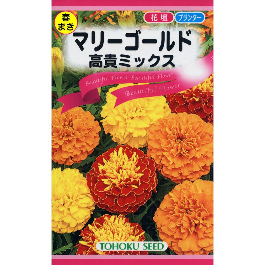 里芋の種、大量５００粒＋マリーゴールド花種＋全国匿名送料無料です トーホク 花の種 マリーゴールド 高貴ミックス : イケダグリーン